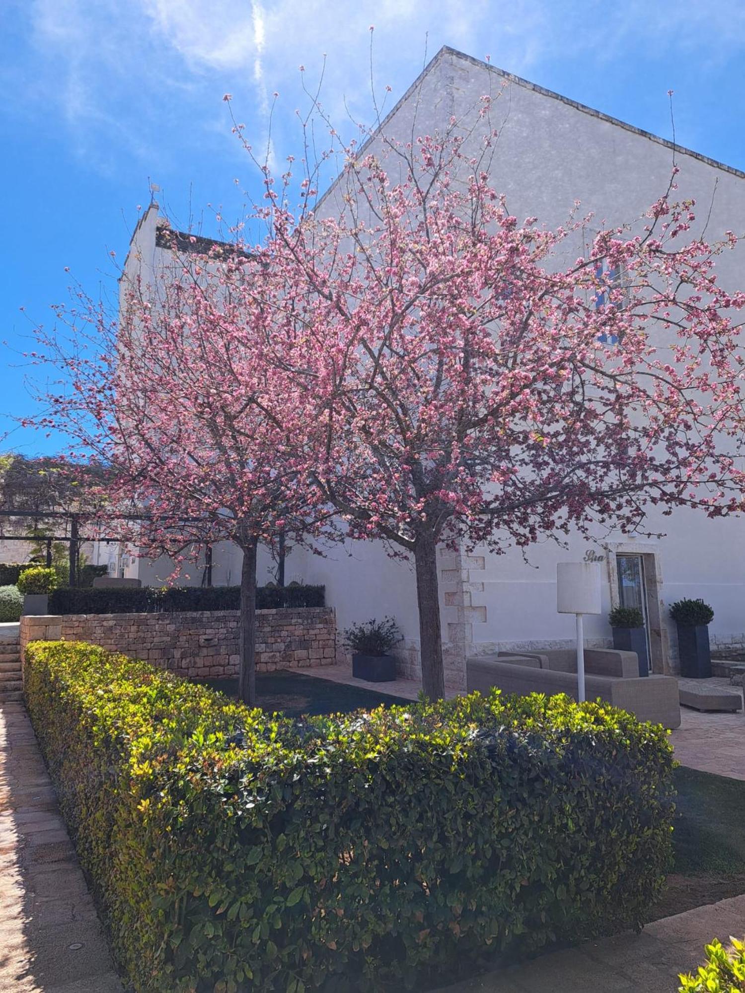 מלון טורי Relais Il Santissimo מראה חיצוני תמונה